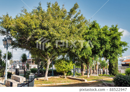 Central park in Ayia Napa, Cyprus. 88522947