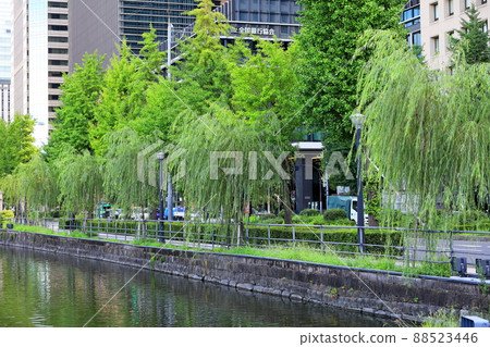 Willow tree 88523446