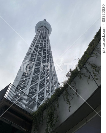 Sky tree towards the clouds Sky tree towards the clouds 88523820