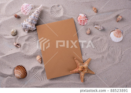 Summer nautical marine background with shell 88523891