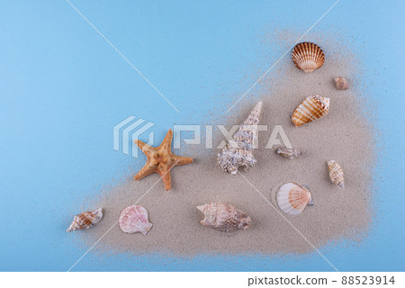 Summer nautical marine background with shell Summer nautical marine background with shell 88523914