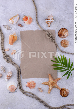 Summer nautical marine background with shell Summer nautical marine background with shell 88523917