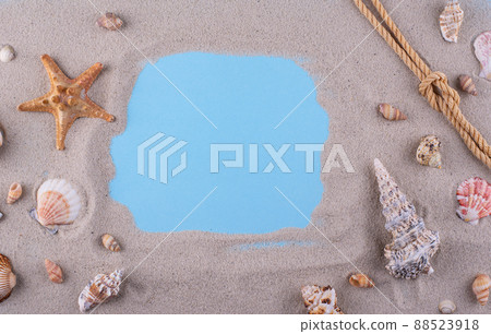 Summer nautical marine background with shell Summer nautical marine background with shell 88523918