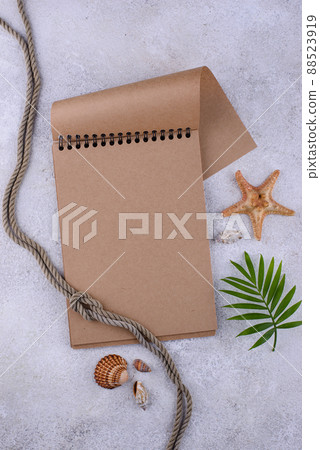 Summer nautical marine background with shell Summer nautical marine background with shell 88523919