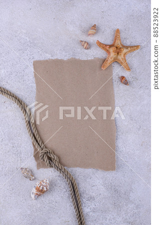Summer nautical marine background with shell Summer nautical marine background with shell 88523922