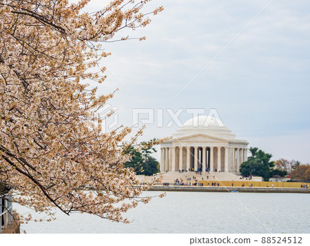Daytime view of The Thomas Jefferson Memorial 88524512