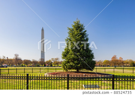 Sunny view of the National Christmas Tree and Washington Monument 88524735