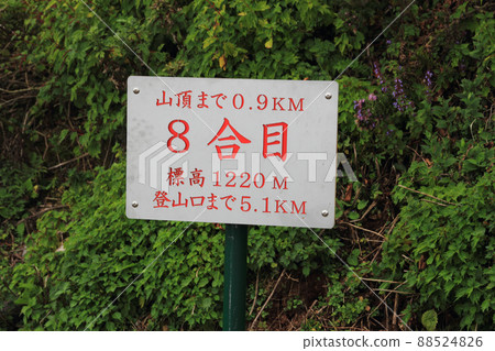 8號站牌 88524826