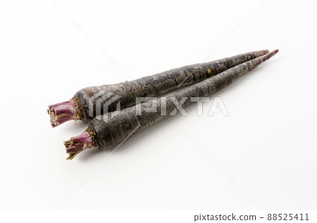 黑胡蘿蔔 黑胡蘿蔔 88525411