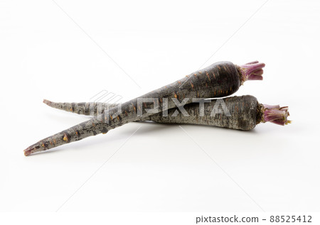 黑胡蘿蔔 88525412