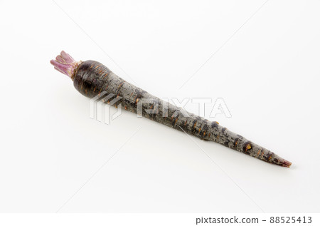 黑胡蘿蔔 88525413