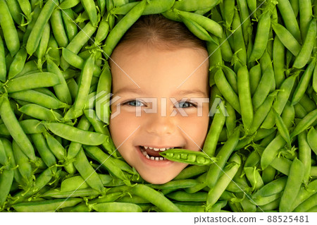 The face of a cute funny child, surrounded by green pods of fresh ripe peas. Healthy proper nutrition. The girl holds a pod of peas in her mouth The face of a cute funny child, surrounded by green pods of fresh ripe peas. Healthy proper nutrition. The girl holds a pod of peas in her mouth 88525481