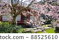 Japanese landscape (Kyuanji Temple, Ikeda City) Japanese landscape (Kyuanji Temple, Ikeda City) 88525610