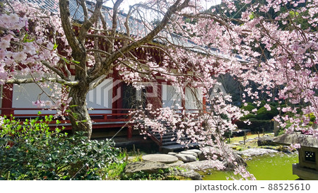 日本風景（池田市廣寺） 88525610