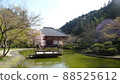 Japanese landscape (Kyuanji Temple, Ikeda City) Japanese landscape (Kyuanji Temple, Ikeda City) 88525612