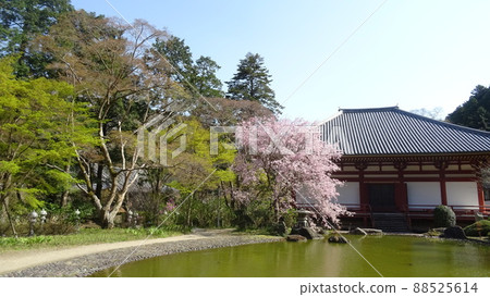 日本風景（池田市廣寺） 88525614