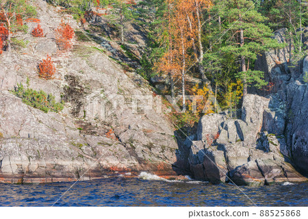 Trees on the cliffs of Lake Ladoga at autumn evening. Finland. 88525868