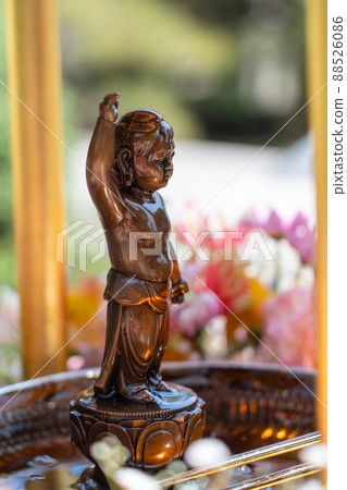 Flower festival image 88526086