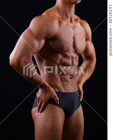 Rectus abdominis 88526241