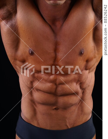 Rectus abdominis Rectus abdominis 88526242