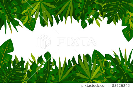 Tropical botanical foliage banner green flat style. Exotic palm leaf monstera jungle summer spring background. Design spa beauty salon cosmetics presentation template promotion excursion paradise trip 88526243