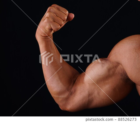 Biceps Biceps 88526273