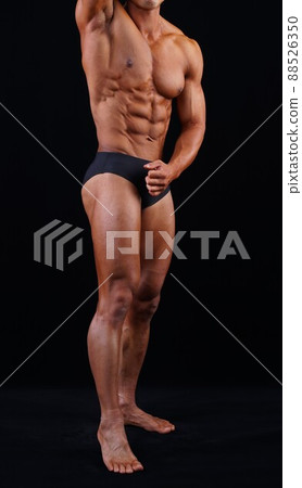 Rectus abdominis 88526350
