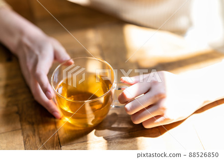 喝茶的婦女的手[部分切割] 88526850