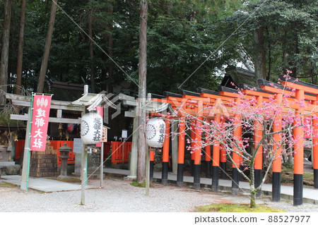 Kurobe-sha 88527977