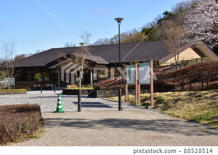 群馬縣高崎市觀音山公園行政大樓、盛開的櫻花和入口廣場 88528514