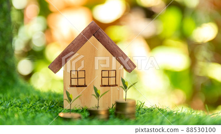 Investor of real estate. The plants growing on money coin stack for investment home. Investor of real estate. The plants growing on money coin stack for investment home. 88530100