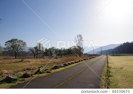 Idyllic scenery (road), morning walk 88530673