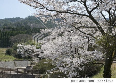 Takigawa Water Park (Scenery around Sekigane Onsen, Kurayoshi City) 88531898
