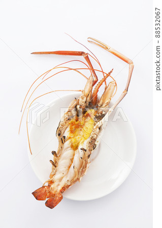 Grilled giant river prawn isolated on white background. Grilled giant river prawn isolated on white background. 88532067