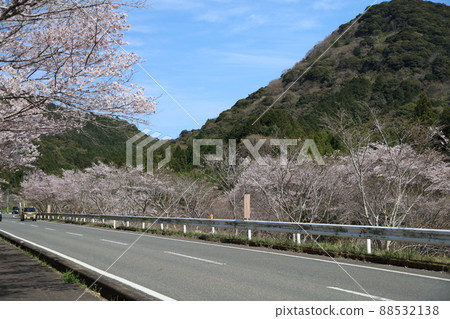 Hachiten Sakura Akoyama district 88532138