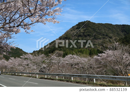 Hachiten Sakura Akoyama district Hachiten Sakura Akoyama district 88532139