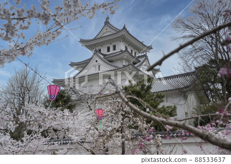 春天大垣城堡 88533637