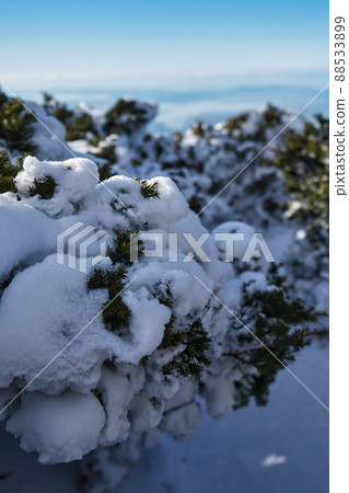 《Tottori Prefecture》 Winter scenery of Daisen-Oki National Park [December] 88533899