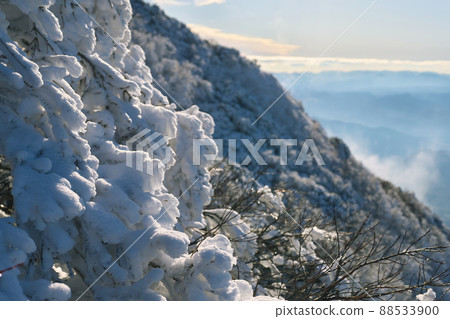《Tottori Prefecture》 Winter scenery of Daisen-Oki National Park [December] 88533900