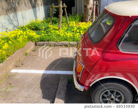 Spring, yellow freesia and red mini cooper 88533930