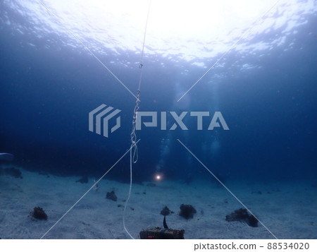 安靜的海洋世界 88534020