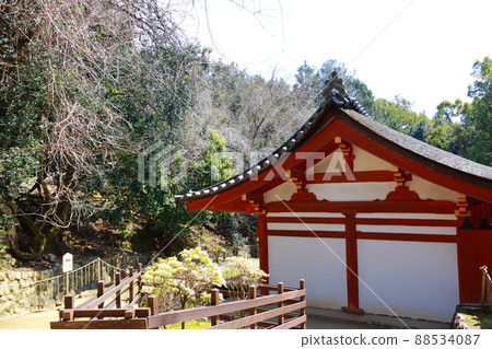 春日大社 88534087