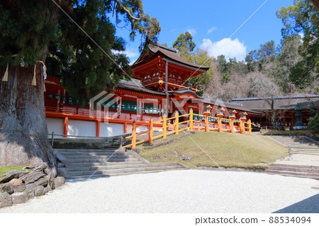 春日大社 88534094