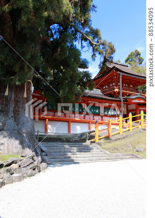 春日大社 88534095