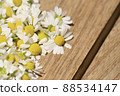 Harvested chamomile flowers 88534147