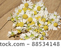Harvested chamomile flowers 88534148