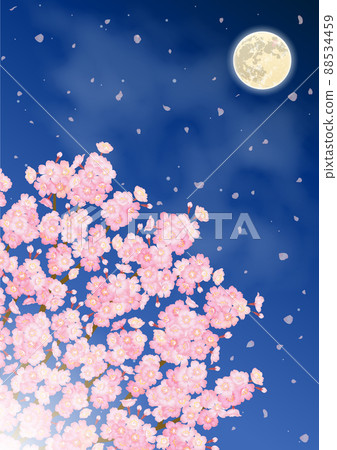 Vector illustration of cherry blossoms and full moon at night Vector illustration of cherry blossoms and full moon at night 88534459