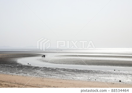 beach family walk 88534464