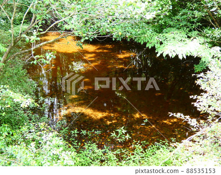 Takanabe moor 88535153