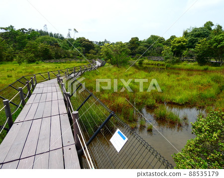 高鍋沼地 88535179